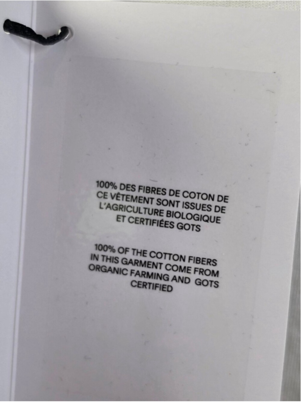 $495 BALMAIN Laminated Logo Cotton Crop T-Shirt Large - Picture 10 of 13